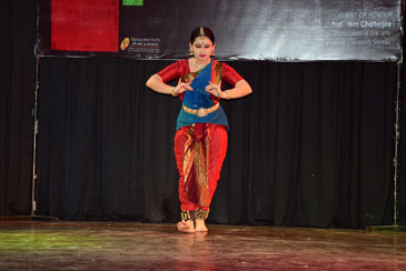 Image Here